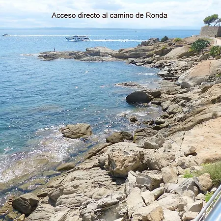 Sobre El Mar Roses