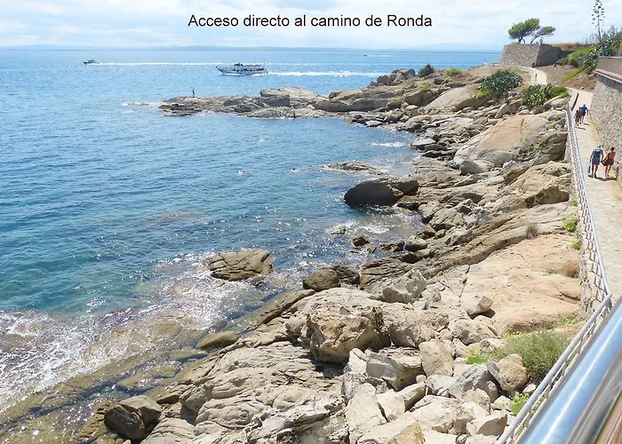 Sobre El Mar Roses
